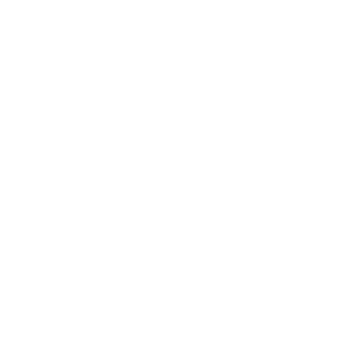 Resilience / Strength